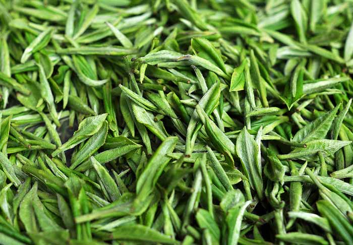 Зеленый чай фото энциклопедия продуктов