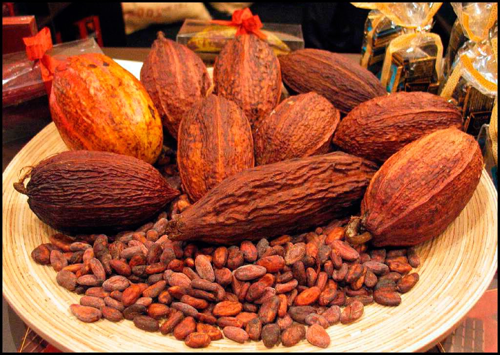 Какао фото энциклопедия продуктов