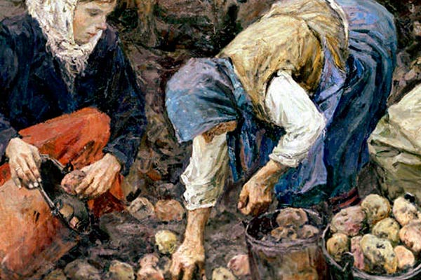 На Руси картофеля не было фото кулинарные истории