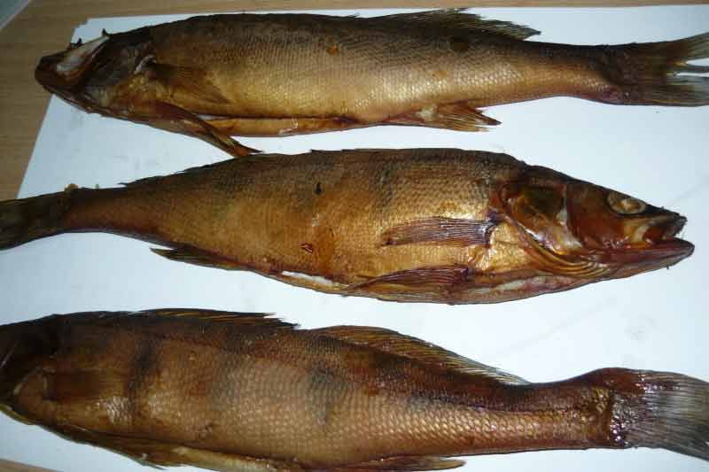 Судак вяленый собственного приготовления фото рецепт рыбы и морепродуктов