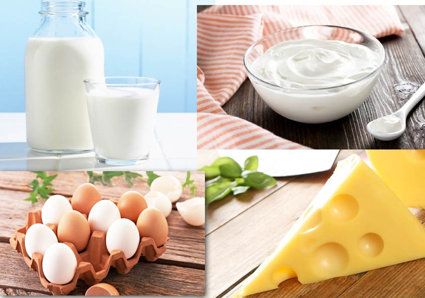 Как правильно хранить молочные продукты и яйца фото советы хозяйкам